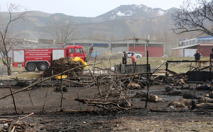 Ağılda çıkan yangında hayvanlar telef oldu