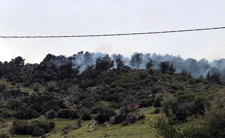 Aydın’da 10 dönüm ormanlık alan yandı