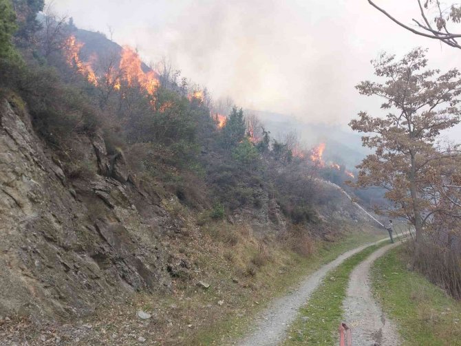 Bilecik’te küçük çaplı başlayan orman yangını giderek büyüyor