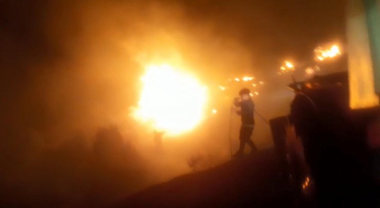 Bilecik’te orman yangını