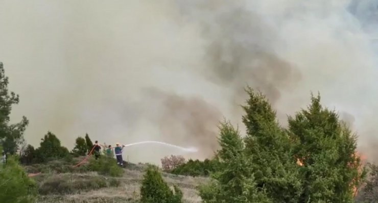 Bilecik’te orman yangını