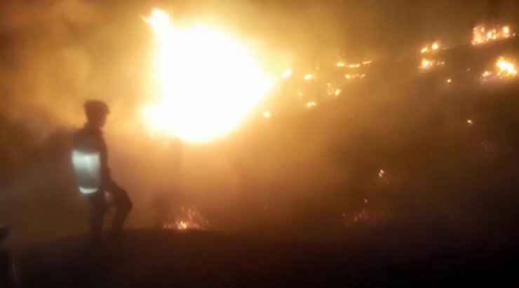 Bilecik’te orman yangını