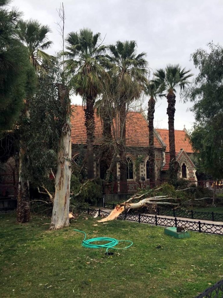 İzmir'de fırtına, hayatı olumsuz etkiliyor