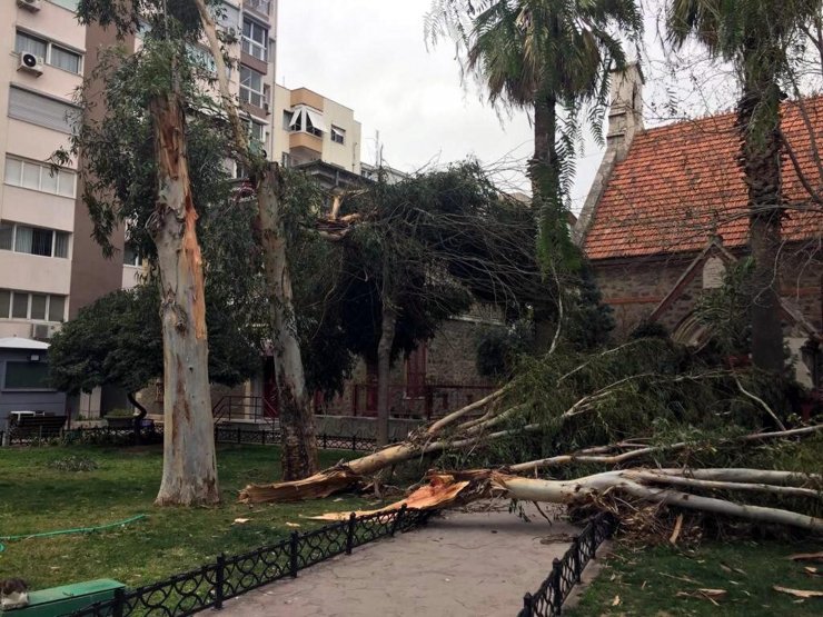 İzmir'de fırtına, hayatı olumsuz etkiliyor