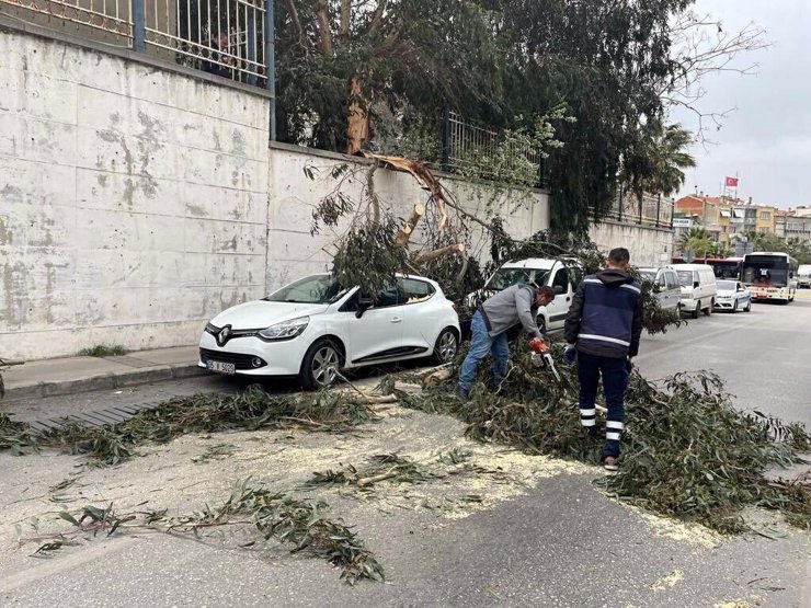 İzmir'de fırtına, hayatı olumsuz etkiliyor