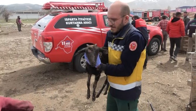 Yangında telef olan koyunlarının başında gözyaşı döktü