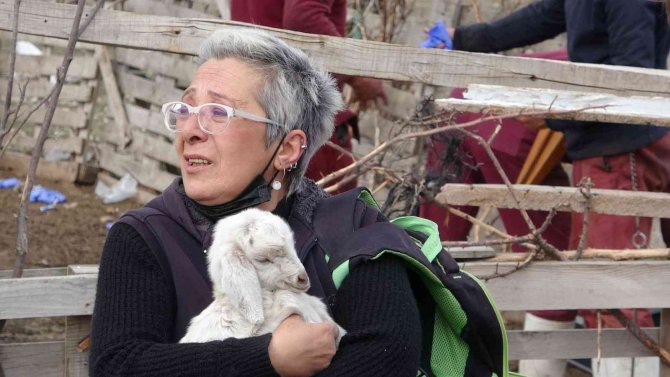 Yangında telef olan koyunlarının başında gözyaşı döktü