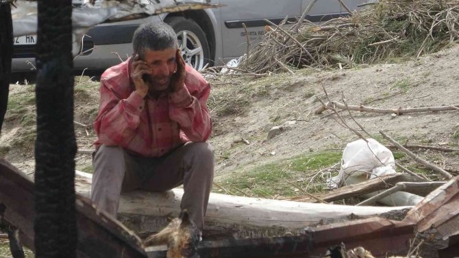 Yangında telef olan koyunlarının başında gözyaşı döktü