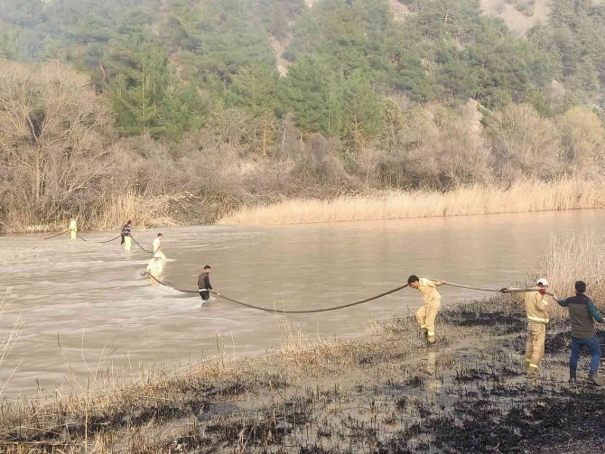 Anız yangını ormana sıçradı