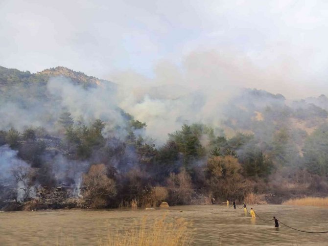 Anız yangını ormana sıçradı