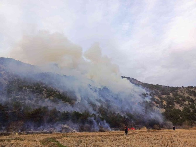 Anız yangını ormana sıçradı