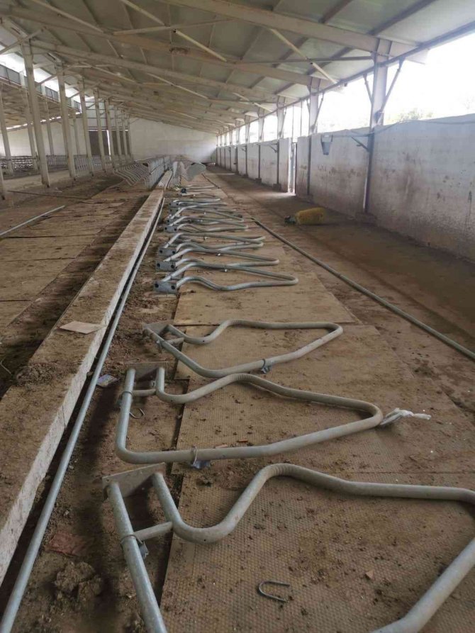 Besi çiftliğinden hırsızlık yapan kişi jandarma tarafından yakalandı