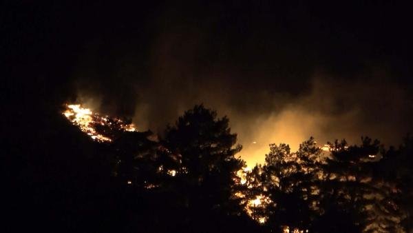 Çanakkale'de orman yangını