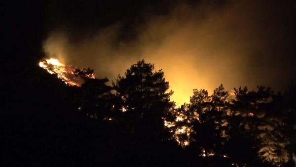 Çanakkale'de orman yangını