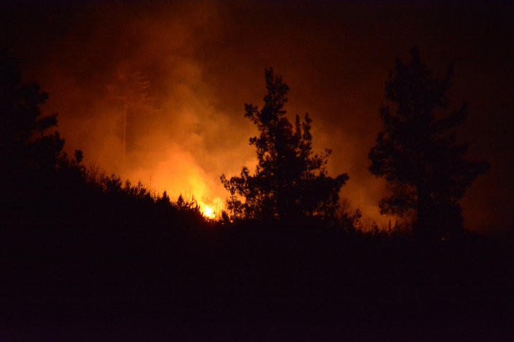 Çanakkale'de orman yangını