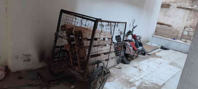 Elektrikli bisiklet hırsızları bekçilerden kaçamadı