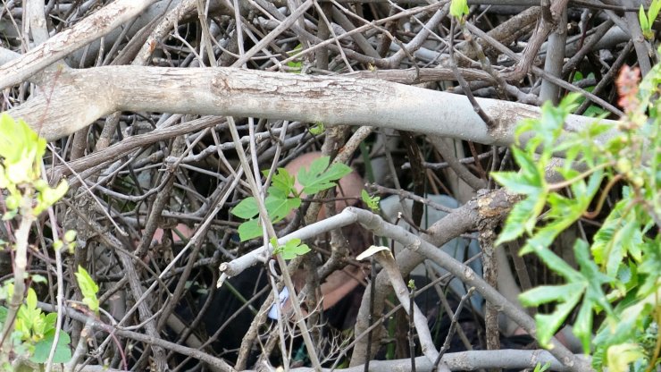 Kanyona düştü, 'Soruşturmamı kendi yöntemlerimle yapmak istiyorum' dedi
