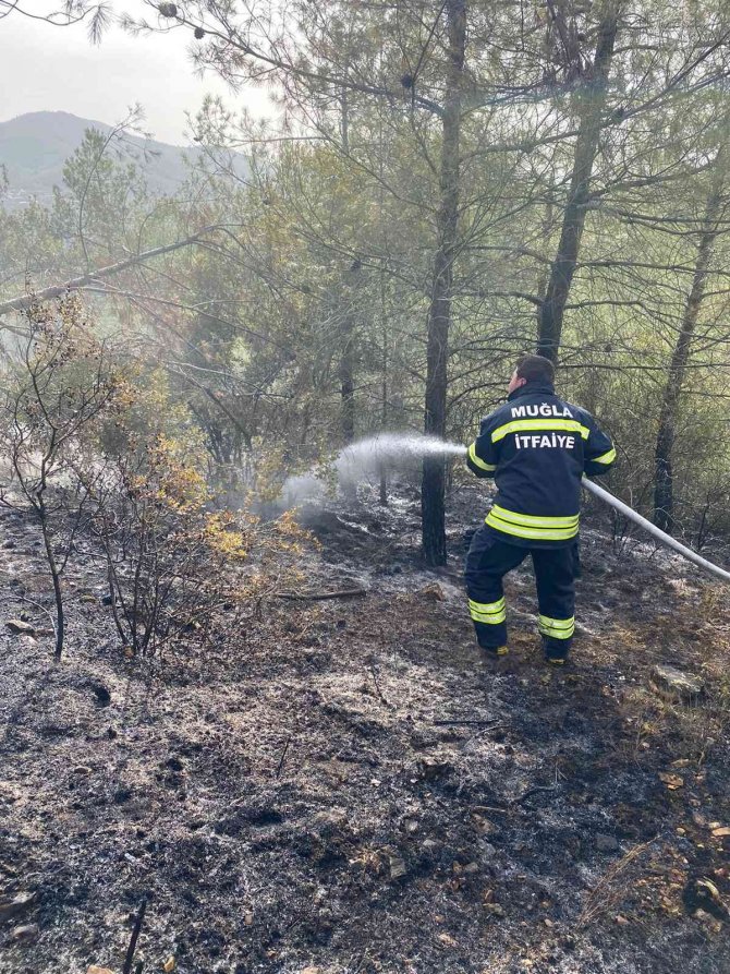 Kavaklıdere İtfaiye Amirliği orman yangınına müdahale etti