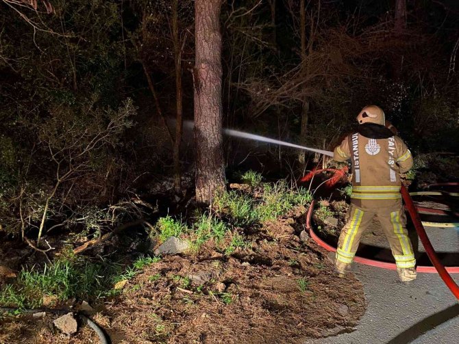 Korkutan orman yangını