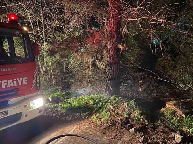 Korkutan orman yangını