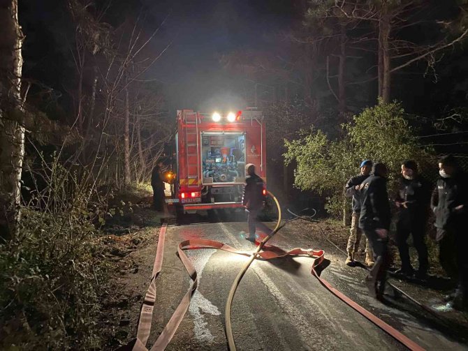 Korkutan orman yangını