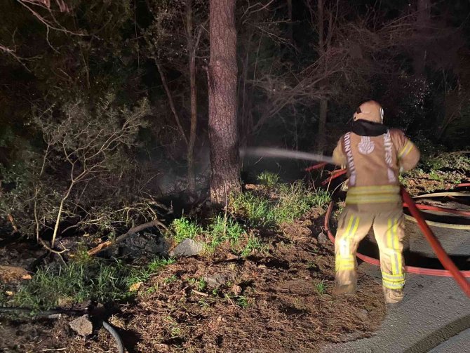 Korkutan orman yangını