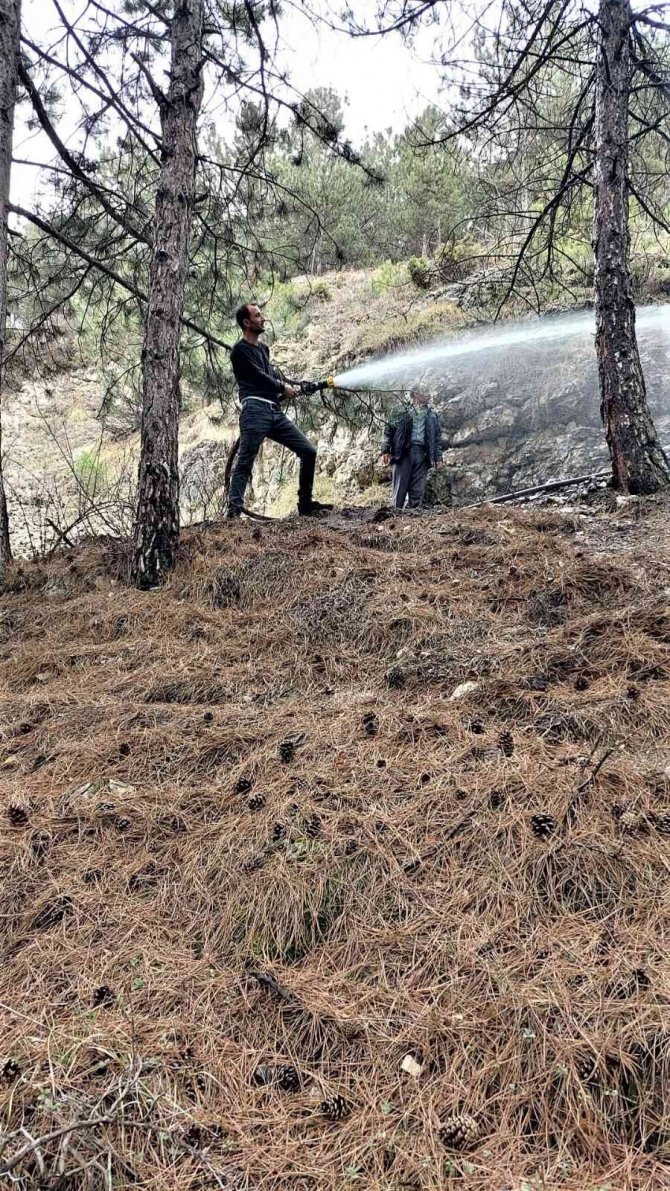 Kütahya’da orman yangını