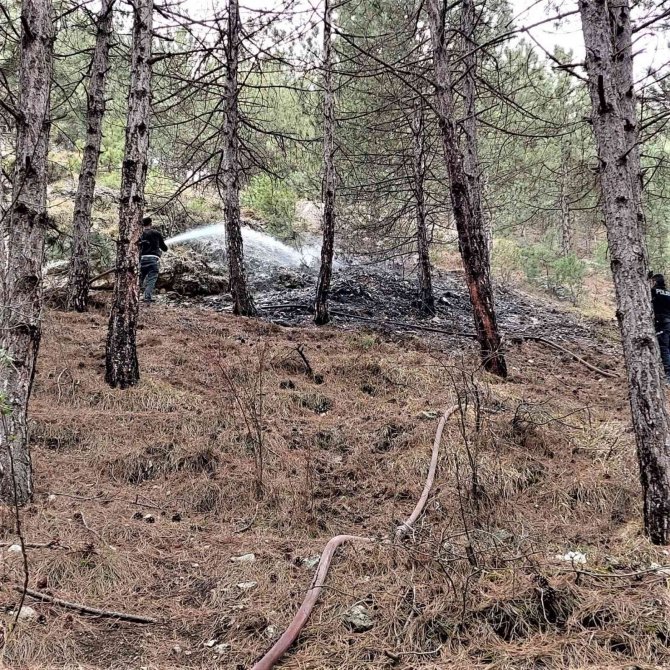 Kütahya’da orman yangını
