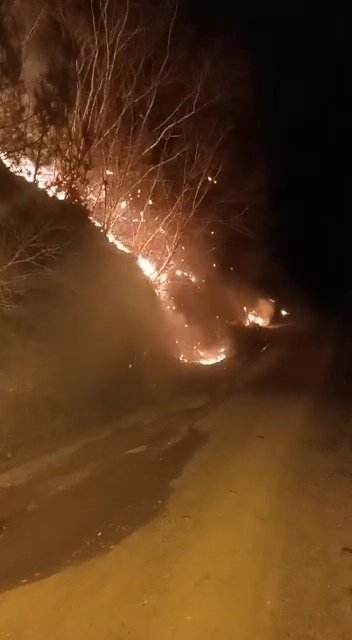 Orman yangını ekipleri alarma geçirdi