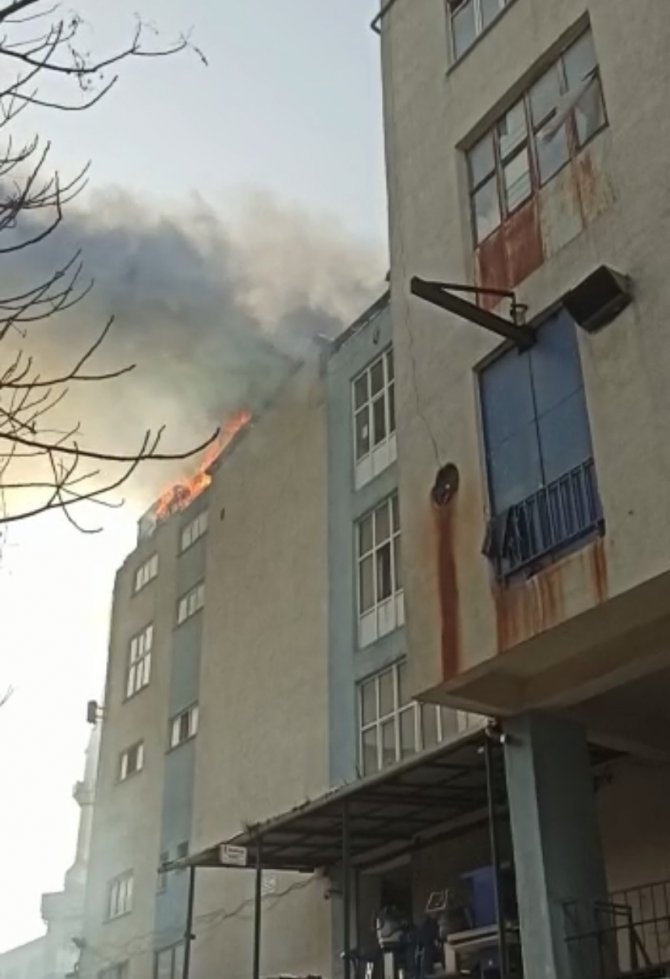 Sanayi sitesinde yangın: 250 güvercin telef oldu, 1 araç küle döndü
