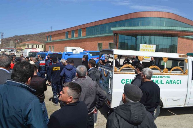 Talaş yüklü kamyon otomobilin üzerine devrildi: 1 ölü, 1 yaralı