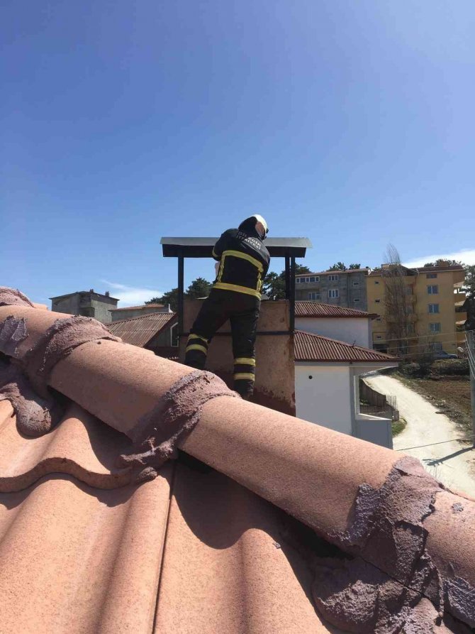 Bir günde 6 ayrı yangın çıktı