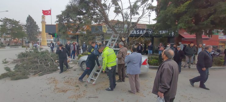 Çorum'da fırtına; devrilen ağaç otomobilin üzerine düştü
