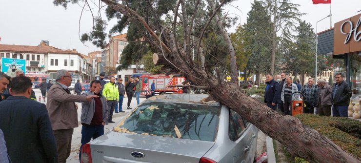 Çorum'da fırtına; devrilen ağaç otomobilin üzerine düştü