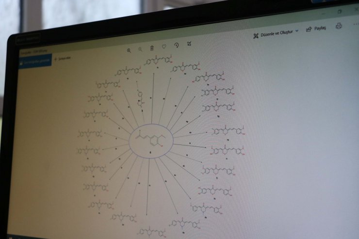  'Covid-19'a karşı zerdeçal türevleriyle ilaç yapılabilir'