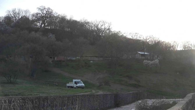 Dehşete düşüren olay, anne ile oğlu ölü bulundu, baba ile kızı yaralı