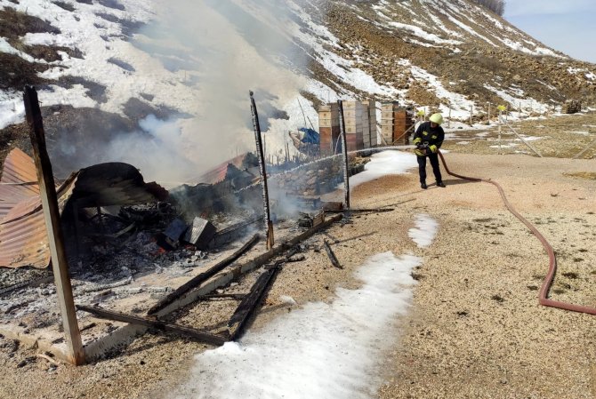 Arıcı barakası yandı