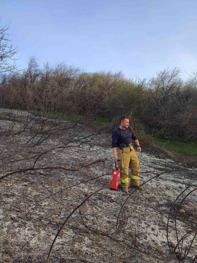 Üç buçuk dekarlık alan kül oldu