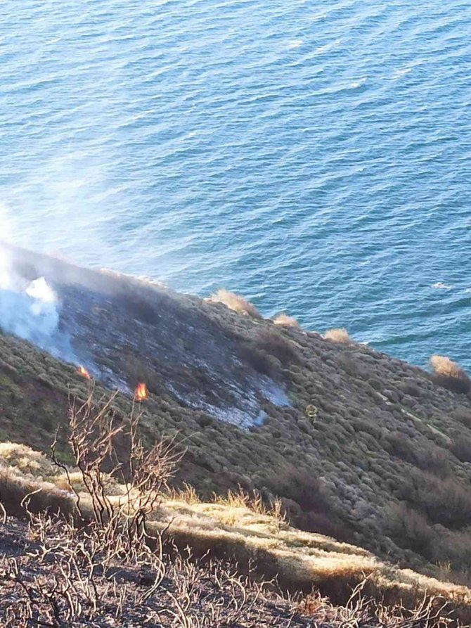 Üç buçuk dekarlık alan kül oldu