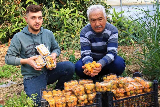 Yenidünya'nın fiyatı cep yakıyor