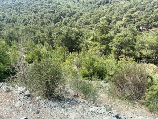 36 saattir kayıp olan öğretmen kaza yaptığı arabada bulundu