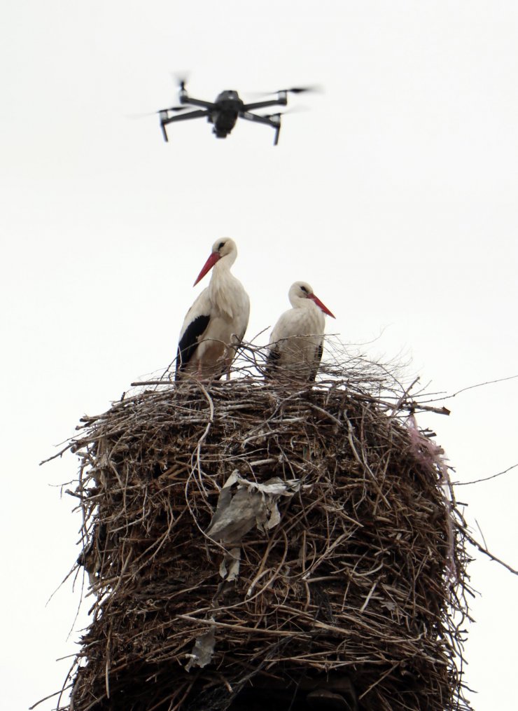 Bacadaki yuvanın yeri, leylekler göç edince değiştirilecek
