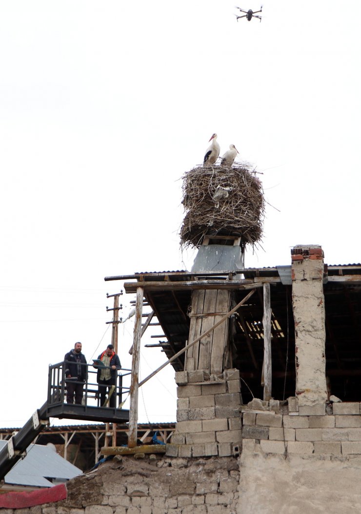 Bacadaki yuvanın yeri, leylekler göç edince değiştirilecek