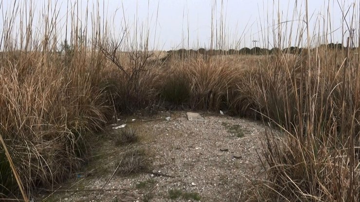 'Kuş cenneti'ne çöp döken 5 yıldızlı otele soruşturma