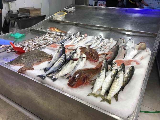 Nadir bulunan kırlangıç balıkları, kilosu 250 liradan satılıyor