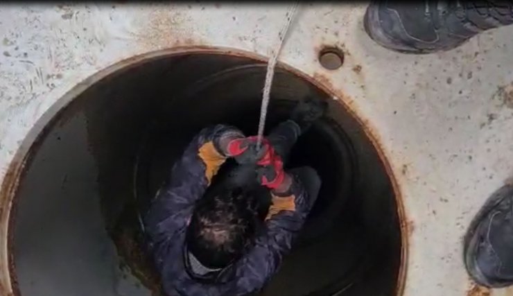 Tabelanın direğine sıkışan leylek, kurtarıldı