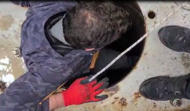 Tabelanın direğine sıkışan leylek, kurtarıldı