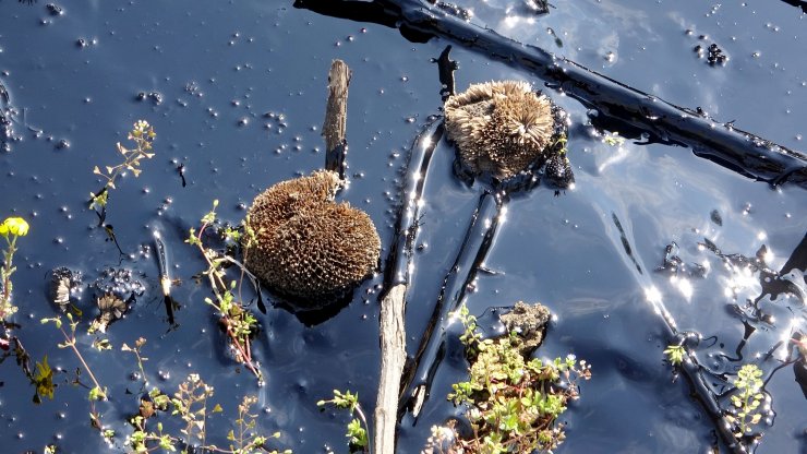 Fuel oil kazanı patladı; tonlarca yakıt çevreye yayıldı