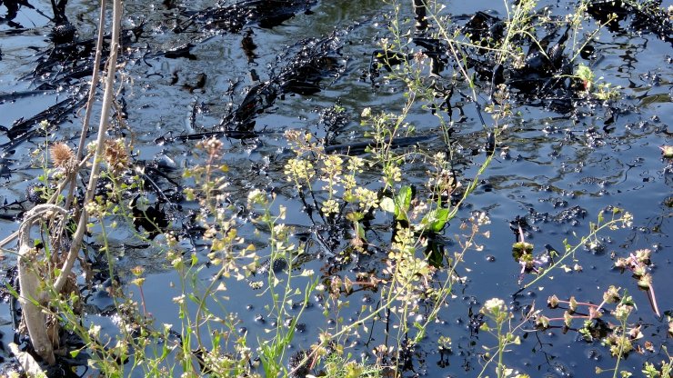 Fuel oil kazanı patladı; tonlarca yakıt çevreye yayıldı