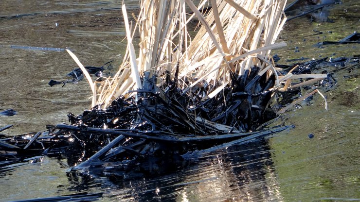 Fuel oil kazanı patladı; tonlarca yakıt çevreye yayıldı